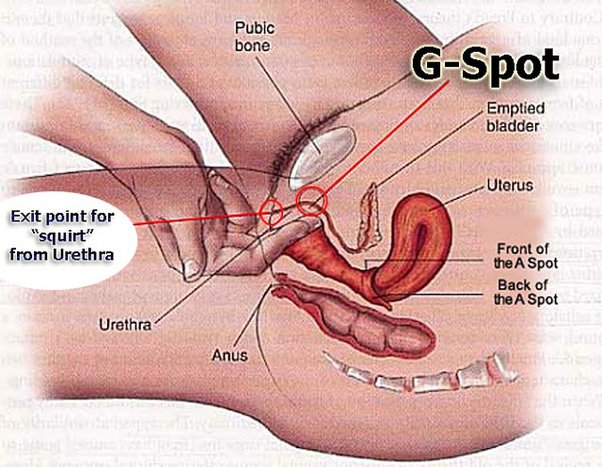 How to Squirt? Special Tips and Tricks